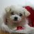 Tanya C - Review for Pet Hosting in Australia