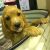 Scott C - Review for Pet Hosting in Australia