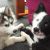 Merryn G - Review for Pet Hosting in Australia
