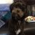 Leeanda M - Review for Pet Hosting in Australia