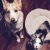 Pla S - Review for Pet Hosting in Australia