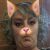 Nicole R - Review for Pet Hosting in Australia