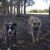 Rebecca G - Review for Pet Hosting in Australia