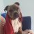 Kelly P - Review for Pet Hosting in Australia