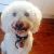 Geri K - Review for Pet Hosting in Australia