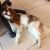 Amanda C - Review for Pet Hosting in Australia