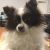 Carmel R - Review for Pet Hosting in Australia