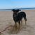 Angelina L - Review for Pet Hosting in Australia