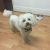 Genevieve M - Review for Pet Hosting in Australia