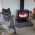 Cheryl H - Review for Pet Hosting in Australia
