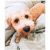 Jenny K - Review for Pet Hosting in Australia