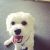 Louise L - Review for Pet Hosting in Australia