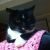 Tegan B - Review for Pet Hosting in Australia