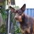 Chris C - Review for Pet Hosting in Australia