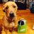 Shane D - Review for Pet Hosting in Australia
