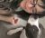 Sheridyn J - Review for Pet Hosting in Australia