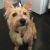 Paton S - Review for Pet Hosting in Australia