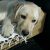 Peter M - Review for Pet Hosting in Australia