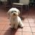 Vicky K - Review for Pet Hosting in Australia