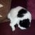 Deb T - Review for Pet Hosting in Australia