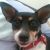 Kacey B - Review for Pet Hosting in Australia