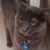Brooke S - Review for Pet Hosting in Australia