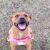 Rietha D - Review for Pet Hosting in Australia