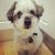 Jacqui H - Review for Pet Hosting in Australia