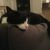 Megan L - Review for Pet Hosting in Australia