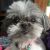 Suzanne P - Review for Pet Hosting in Australia