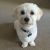 Leanne K - Review for Pet Hosting in Australia