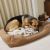 Marilyn S - Review for Pet Hosting in Australia