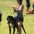 Senada k - Review for Pet Hosting in Australia
