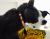 Kelly B - Review for Pet Hosting in Australia