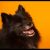 Craig W - Review for Pet Hosting in Australia