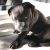 John f - Review for Pet Hosting in Australia