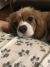 marilyn s - Review for Pet Hosting in Australia