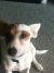 Aaron E - Review for Pet Hosting in Australia
