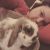 Amy M - Review for Pet Hosting in Australia