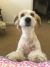 Brooke F - Review for Pet Hosting in Australia