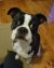 Kendall B - Review for Pet Hosting in Australia
