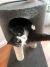 Jessica G - Review for Pet Hosting in Australia