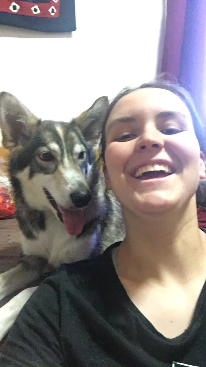 experience with my pet dog Long essay on my pet dog, college essay proofreading services - if they do so, they end up scoring low grades because they complete them in a rash. experience with my pet dog Long essay on my pet dog, college essay proofreading services - if they do so, they end up scoring low grades because they complete them in a rash.