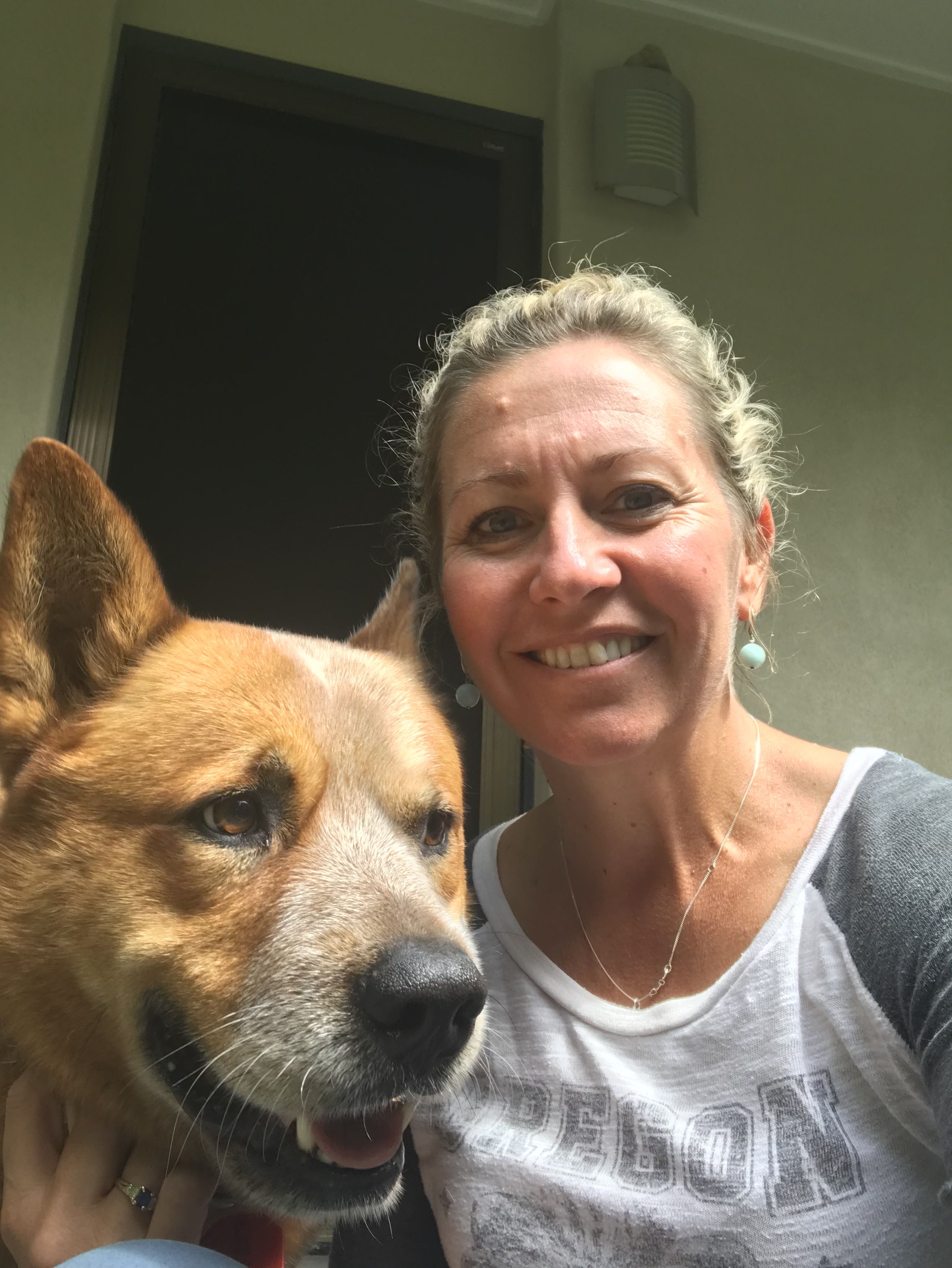 Mad about pets nambour
