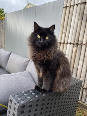 Picture of Billy