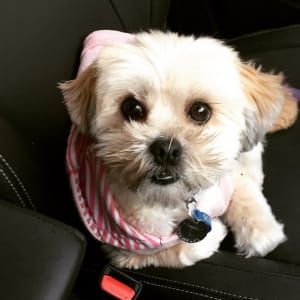Picture of Ella