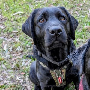 Picture of Charles