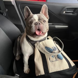 Picture of Bruce