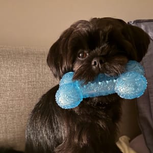 Picture of Andy