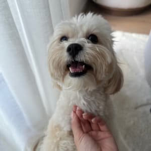 Picture of Ella